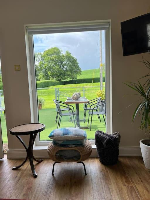 Adorable One Bedroom Apartment With Balcony Newtownards Exterior photo
